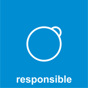 Design Question What 13 responsible design