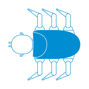 Design Question Portfolio 2014 Dung Beetle Robot Concept 36 Back Module Sketches title